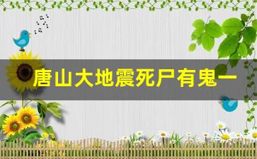 唐山大地震死尸有鬼一_2008年小女孩骂汶川地震视频