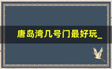 唐岛湾几号门最好玩_黄岛唐岛湾公园好玩吗