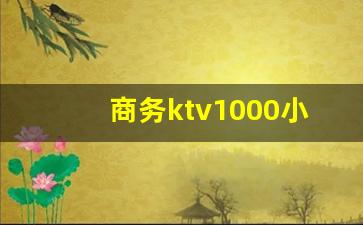 商务ktv1000小费能干嘛_ktv陪酒小费1200能干嘛