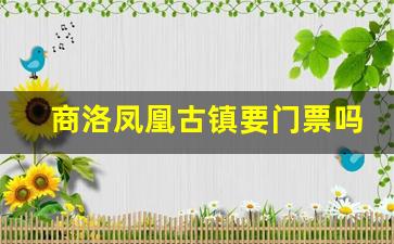 商洛凤凰古镇要门票吗_商洛特色美食一条街