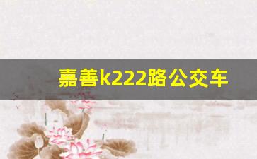 嘉善k222路公交车路线时间表_嘉善南k222公交车时间表