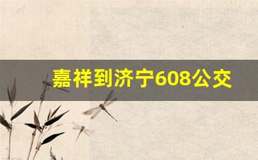 嘉祥到济宁608公交路线