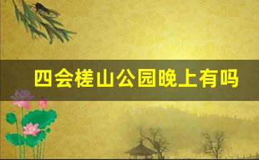 四会槎山公园晚上有吗