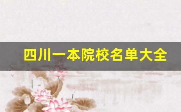 四川一本院校名单大全