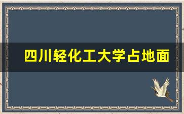 四川轻化工大学占地面积_四川轻化工大学多少亩