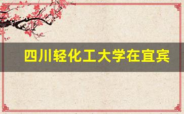 四川轻化工大学在宜宾哪个区_宜宾轻化工大学有几个校区