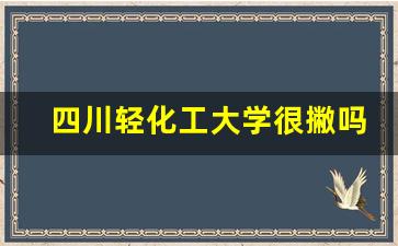 四川轻化工大学很撇吗