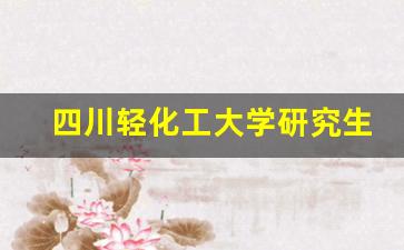 四川轻化工大学研究生好考吗_自贡轻化工大学是本科吗