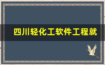 四川轻化工软件工程就业方向