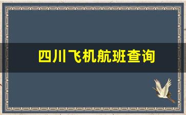 四川飞机航班查询