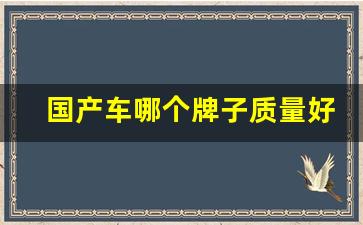 国产车哪个牌子质量好省油