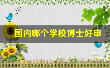 国内哪个学校博士好申请_英国读博士有收入吗