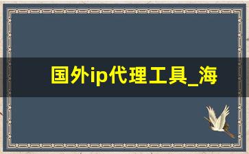 国外ip代理工具_海外虚拟ip地址怎么弄