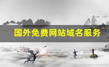 国外免费网站域名服务器查询_网站制作