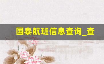 国泰航班信息查询_查看飞机实时轨迹