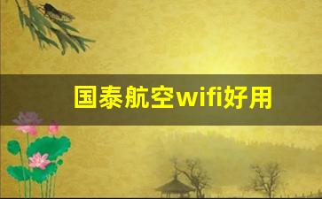 国泰航空wifi好用吗