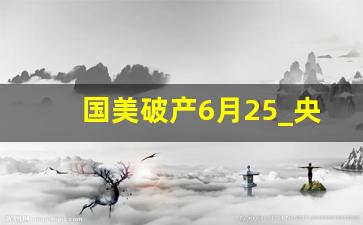 国美破产6月25_央视为何力挺国美