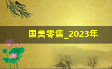 国美零售_2023年国美何去何从