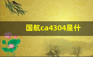 国航ca4304是什么机型