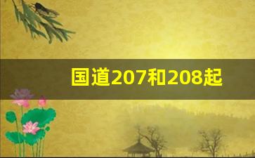 国道207和208起点和终点_长治207国道小车收费吗