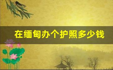 在缅甸办个护照多少钱_缅甸人在缅甸办护照旅游签证多少钱