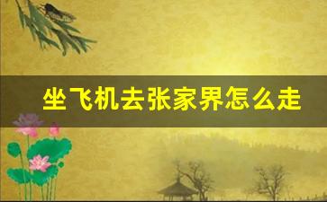 坐飞机去张家界怎么走_从广州坐飞机去张家界需要几小时