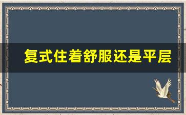 复式住着舒服还是平层_40㎡复式单身小公寓