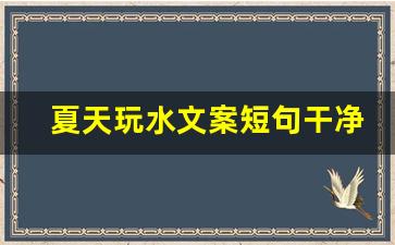 夏天玩水文案短句干净