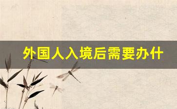 外国人入境后需要办什么手续_外国人来我家住需要登记吗