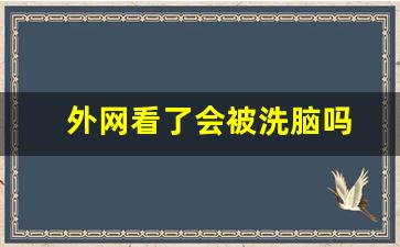 外网看了会被洗脑吗