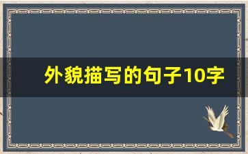 外貌描写的句子10字_描写人物外貌的短句10字