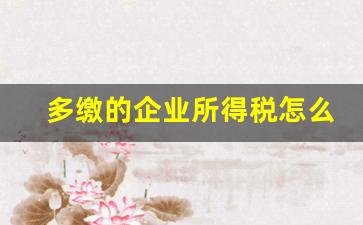 多缴的企业所得税怎么处理_以前年度多缴纳的企业所得税怎么办