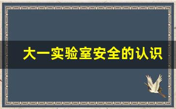 大一实验室安全的认识