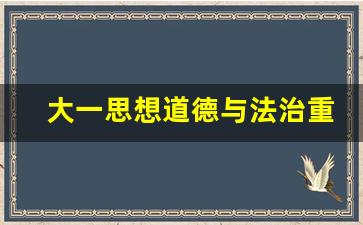 大一思想道德与法治重点_思想政治大一期末考试试题