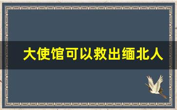 大使馆可以救出缅北人吗