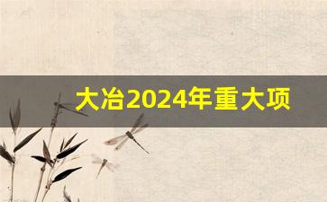 大冶2024年重大项目规划图_大冶市罗桥官塘村最新拆迁消息