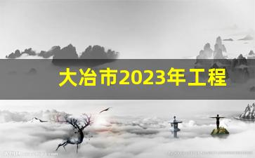 大冶市2023年工程项目计划