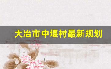 大冶市中堰村最新规划图_大冶市罗桥街道最新规划