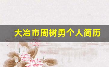 大冶市周树勇个人简历_大冶市石国栋简介