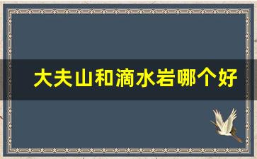 大夫山和滴水岩哪个好玩