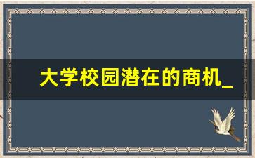 大学校园潜在的商机_大学做什么生意最赚钱