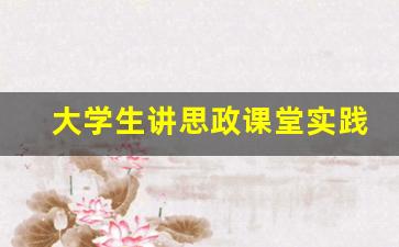 大学生讲思政课堂实践500字_大学生思政报告