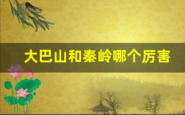 大巴山和秦岭哪个厉害_秦岭高还是大巴山高