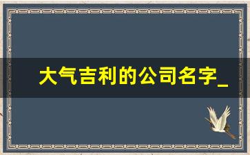 大气吉利的公司名字_公司取名网免费版