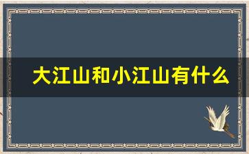 大江山和小江山有什么不一样_恒大和江山哪个烟比较好