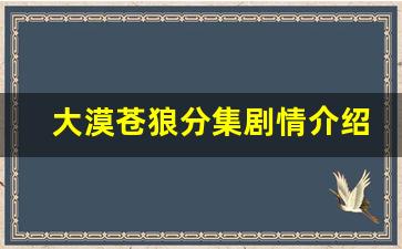 大漠苍狼分集剧情介绍