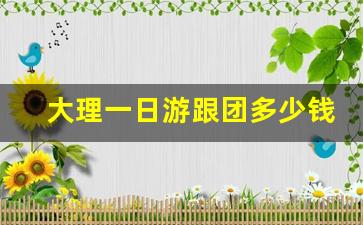 大理一日游跟团多少钱_云南洱海必去4个景点