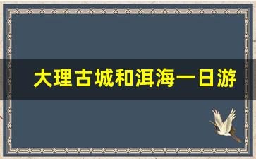 大理古城和洱海一日游_大理古城游玩顺序