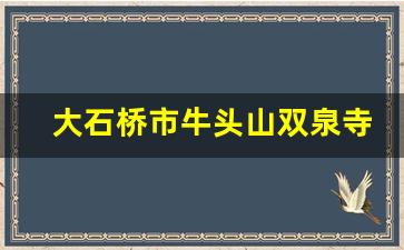 大石桥市牛头山双泉寺