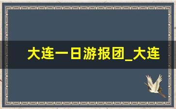 大连一日游报团_大连玩需要报一日游吗